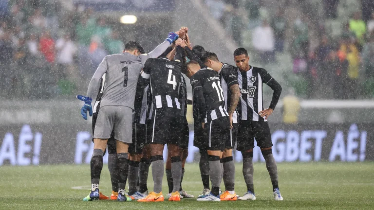 botafogo x avaí