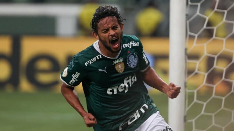 palmeiras