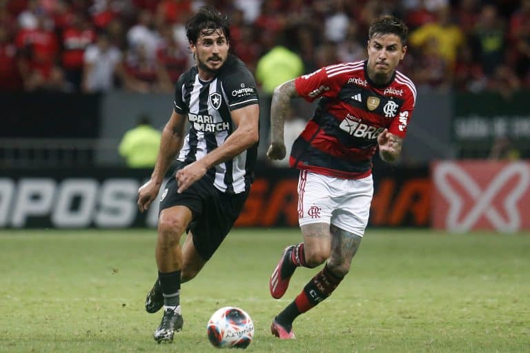 Botafogo perde para o Flamengo. Foto - Vítor Silva/BFR