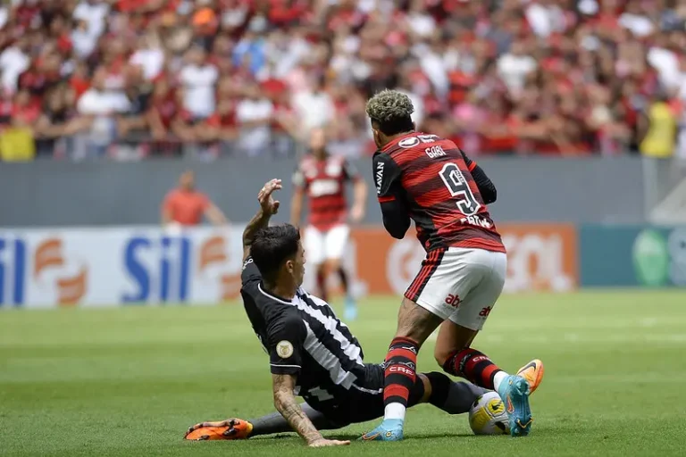 Botafogo x Flamengo se enfrentam pelo campeonato brasileiro