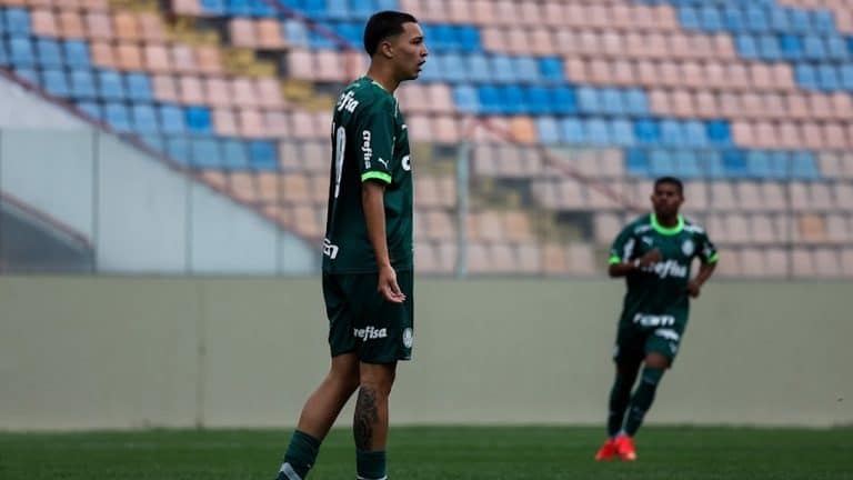 Thalys destaque palmeiras