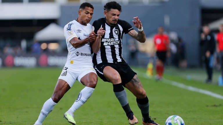 Botafogo x Santos