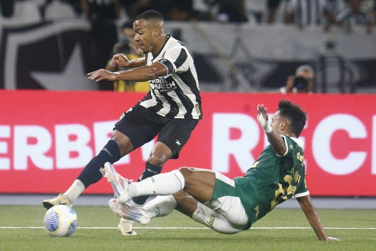 Botafogo x Palmeiras