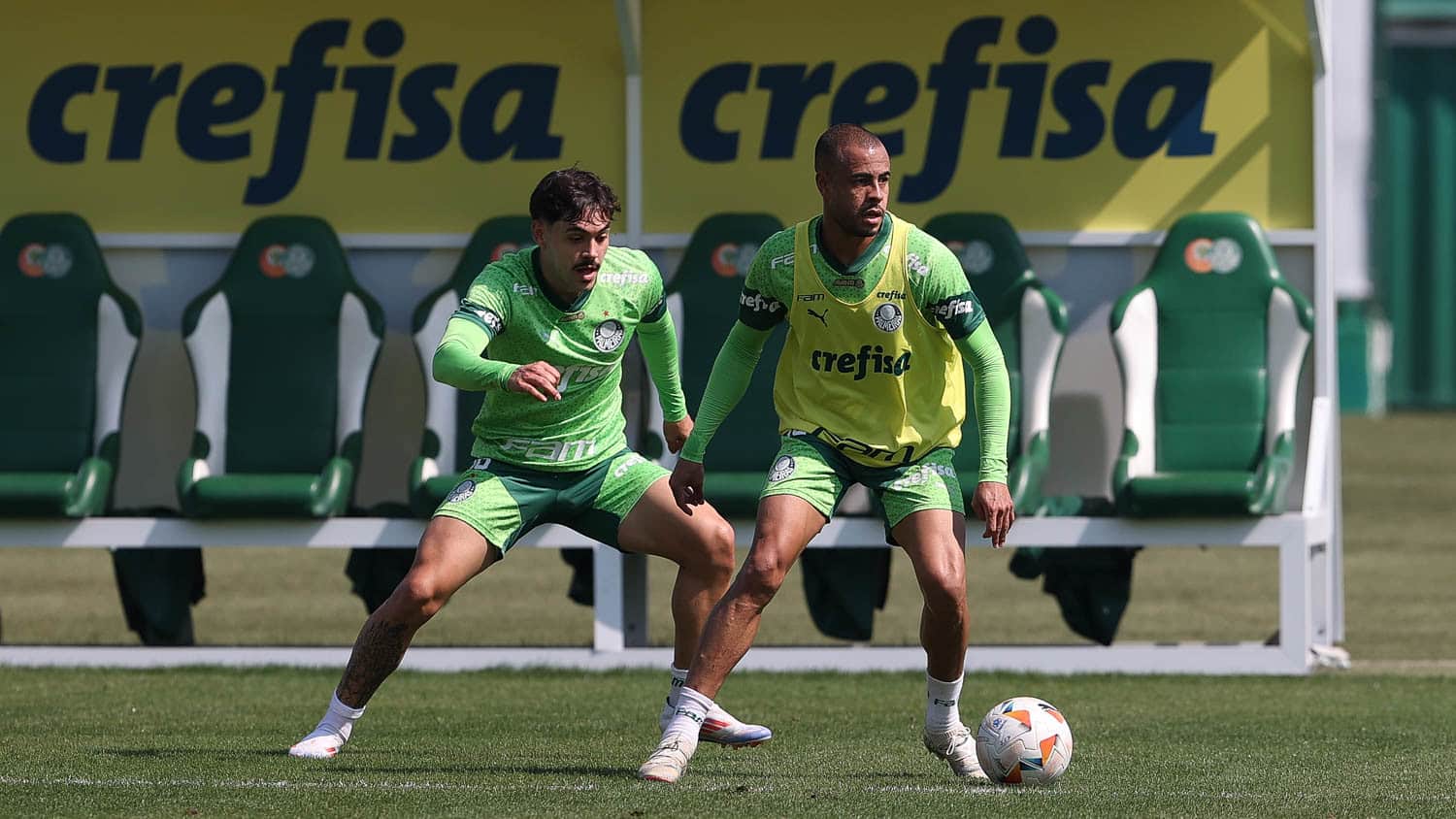 Palmeiras x Botafogo