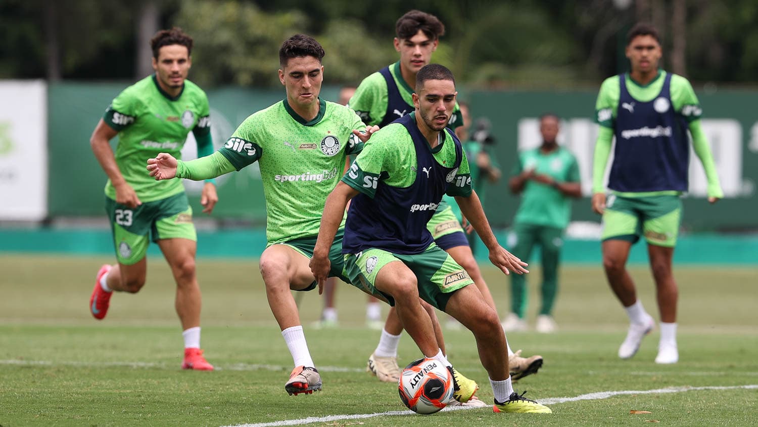 Palmeiras x Novorizontino 