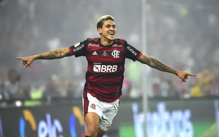 Pedro, do Flamengo