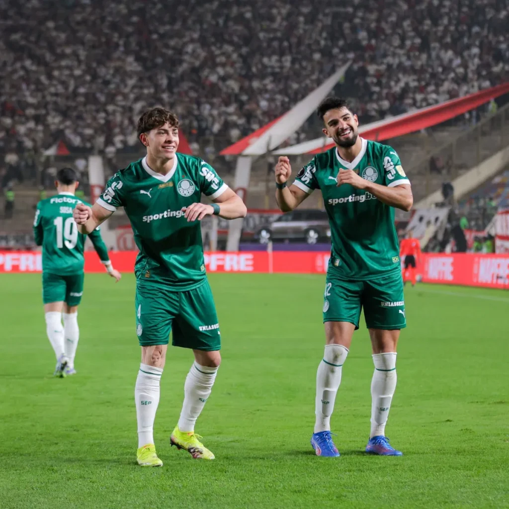 Palmeiras Botafogo