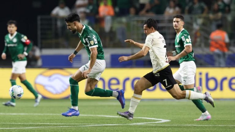 palmeiras universitário